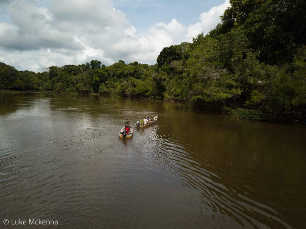 Rupununi river wildlife spotting