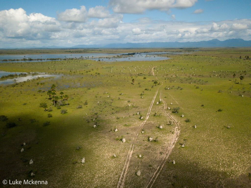 Rupununi savannah landscape