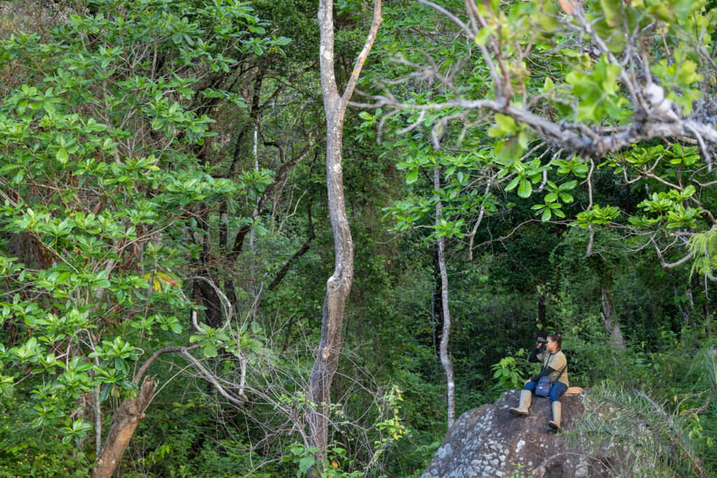 Scouting wildlife south rupununi visit guyana