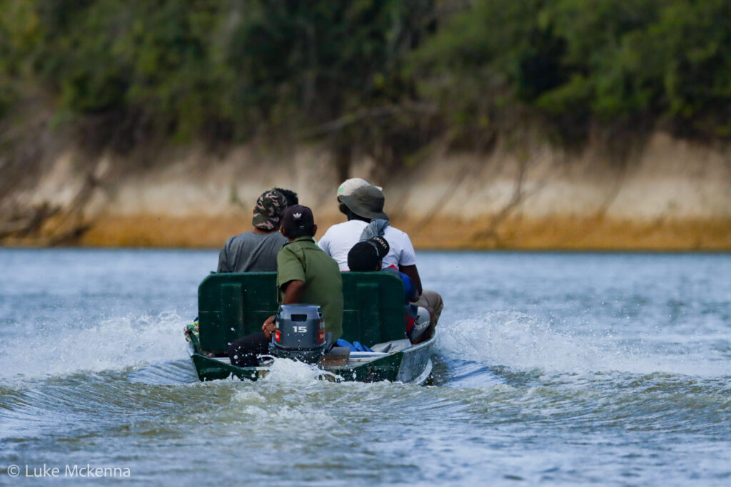 Travelling on the rivers rupununi