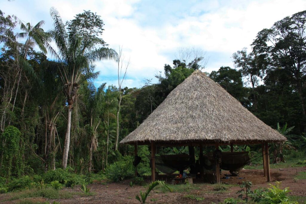 Indigenous Farm House in Guyana