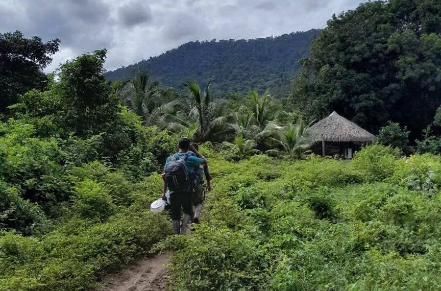 Eco lodges in guyana