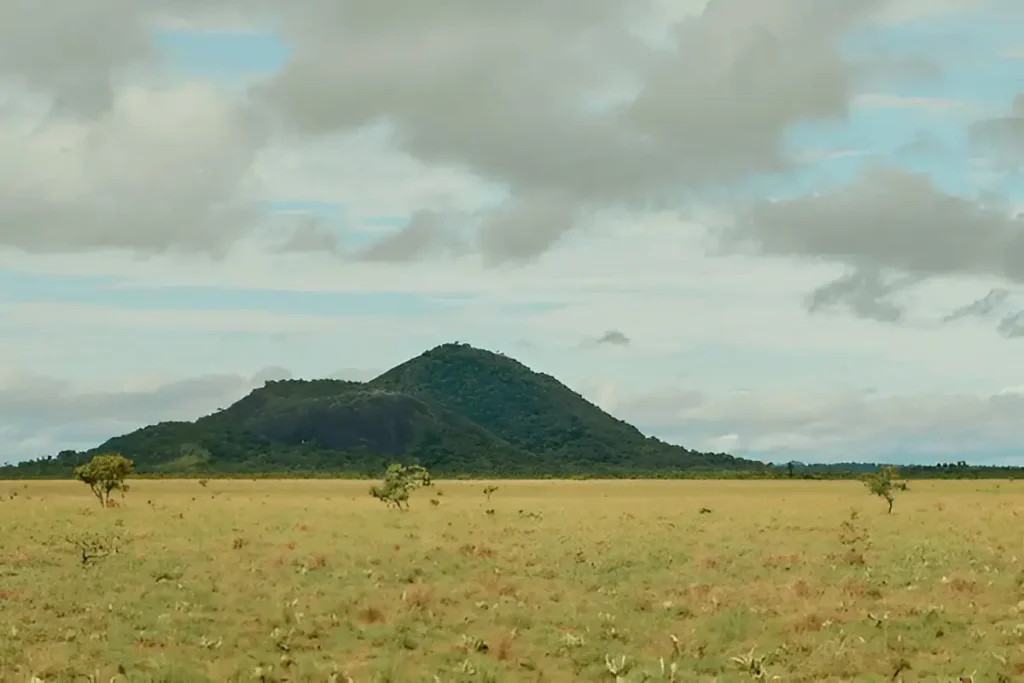 rupununi savannahs