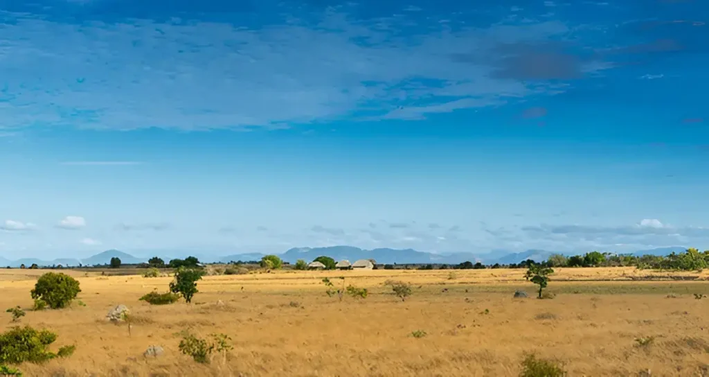 savannah of rupununi guyana