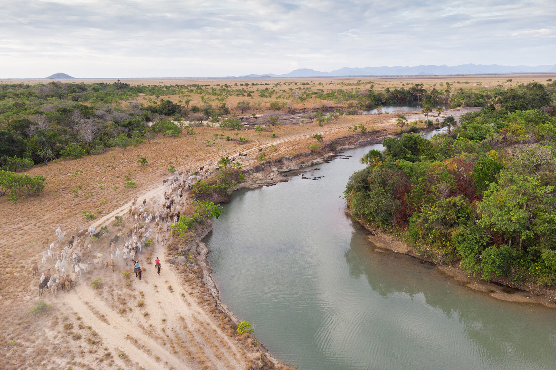 Green Travel Guide to Guyana